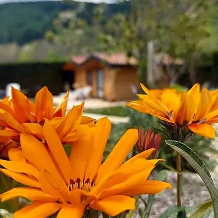 Stella Alpina 3* Fontanelle (Vicenza)
