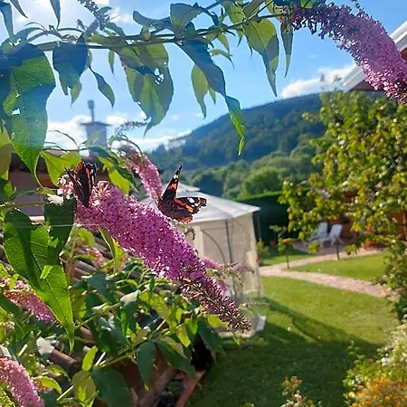 B&B Stella Alpina